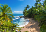 Paradiesische Strände erwarten Sie während Ihrer Kreuzfahrt, wie beispielsweise der Strand Puerto Viejo in Costa Rica.