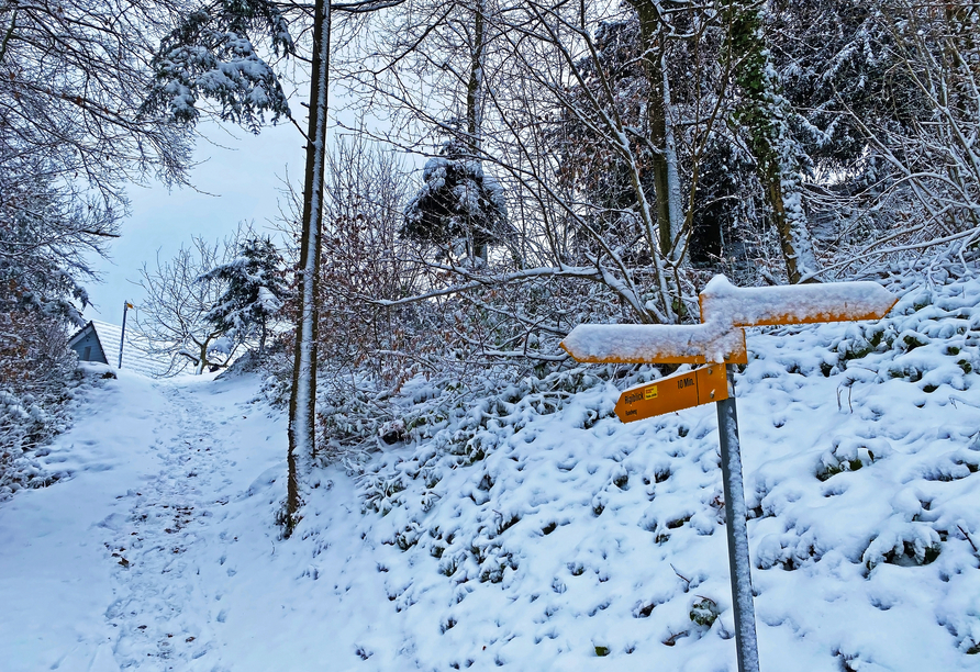 Die atemberaubende Natur um Brunnen lädt zu winterlichen Spaziergängen und Wanderungen ein.