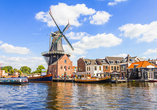 Haarlem: Ein idyllisches Fleckchen Erde mit seiner historischen Windmühle, die Sie in die Vergangenheit entführt.