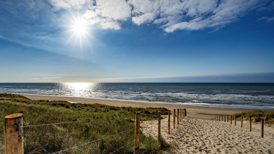 Auf dem Weg nach Noordwijk aan Zee genießen Sie Radfahren mit Meeresblick – Dünen, Wind und Weite inklusive.