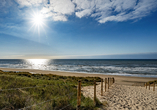 Immer wieder werden Sie wie hier bei Noordwijk aan Zee mit dem Rad Dünen passieren und einen Blick auf die Nordsee erhaschen.