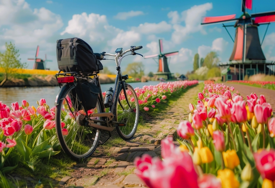 Eine Traumstrecke zu den Höhepunkten der Niederlande erwartet Sie – los geht's!