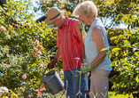 Bei dieser besonderen Reise finden Sie garantiert die eine oder andere Inspiration für Ihren heimischen Garten.