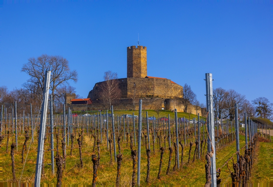Spazieren Sie durch die Weinberge zur Burg Steinsberg bei Sinsheim.