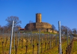 Spazieren Sie durch die Weinberge zur Burg Steinsberg bei Sinsheim.