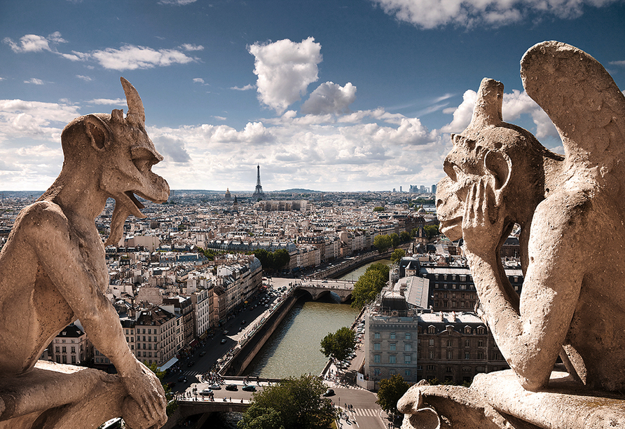 Blick von der Notre-Dame auf Paris