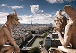 Blick von der Notre-Dame auf Paris