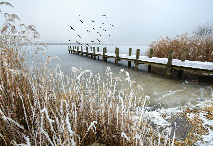 Die idyllische Seenlandschaft ist auch im Winter ein Traum.