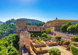 Freuen Sie sich auf interessante Ausflüge, wie den Besuch der weltberühmten Alhambra in Granada.