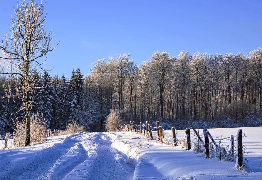 Erleben Sie den Winter im schönen Teutoburger Wald.