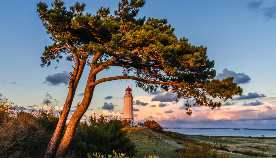 Leuchttürme gehören zur Ostsee: Besuchen Sie den Leuchtturm Dornbusch auf der Insel Hiddensee.