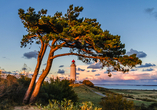 Leuchttürme gehören zur Ostsee: Besuchen Sie den Leuchtturm Dornbusch auf der Insel Hiddensee.