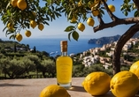 Eine Limoncello-Verkostung ist Teil Ihrer Reise und ein wahres Genusserlebnis.