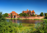 Freuen Sie sich auf einen Fotostopp an der schönen Marienburg in Malbork.