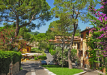Blühende Sträucher und schattige Bäume säumen die charmanten Straßen von Gardone Riviera.