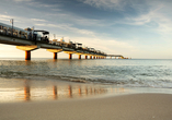 Die Seebrücke in Misdroy ist ein beeindruckendes Bauwerk, welches Ihnen eine einmalige Aussicht auf die Ostsee bietet.