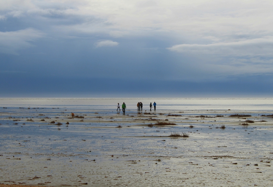 Das Nationalpark Niedersächsisches Wattenmeer begeistert mit seiner einzigartigen Natur.