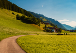 Freuen Sie sich auf zahlreiche Wanderwege in St. Johann und Umgebung.