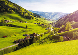 Der Schwarzwald bietet eine wundervolle Natur und lädt zum Erkunden ein.