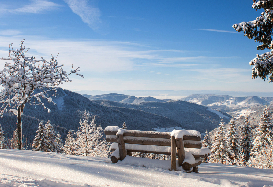 Im Winter erwarten Sie verschneite Wälder und Berge.