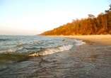 Der Strand von Probierowo lädt zu ausgedehnten Spaziergängen ein.