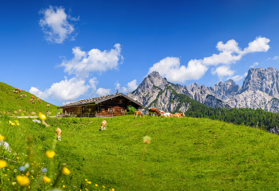 Das Salzburger Land heißt Sie Willkommen.