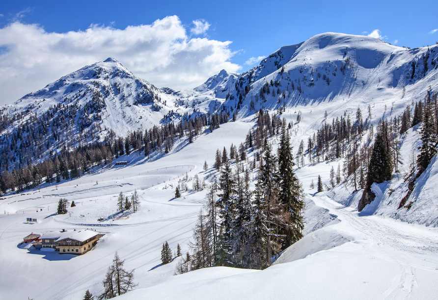 Bestaunen Sie zauberhafte Winterlandschaften.