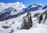 Bestaunen Sie zauberhafte Winterlandschaften.