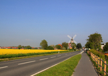 Unternehmen Sie einen Ausflug ins nahegelegene Nordseebad Carolinensiel.