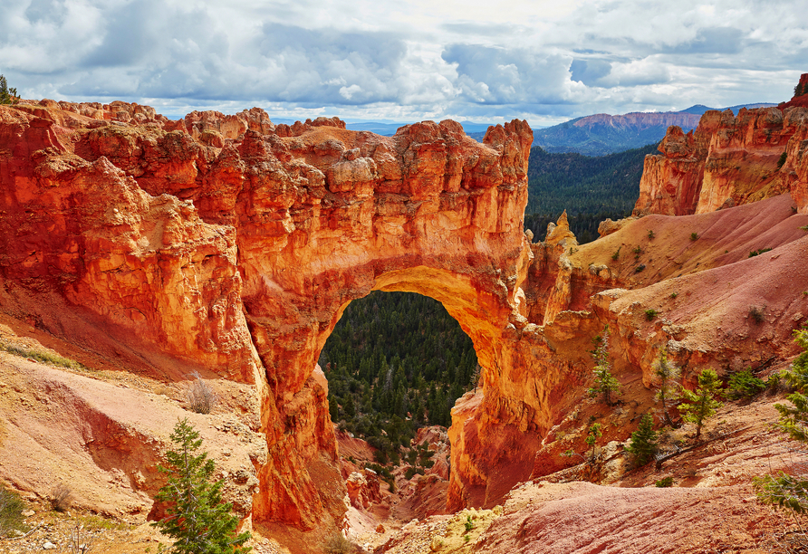 Ein Meisterwerk der Natur! Im Bryce-Canyon-Nationalpark in Utah eröffnet der gewaltige Felsbogen faszinierende Ausblicke.