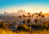 Der letzte Stopp Ihrer Reise ist Los Angeles – entdecken Sie den Walk of Fame, den Sunset Strip oder Downtown.