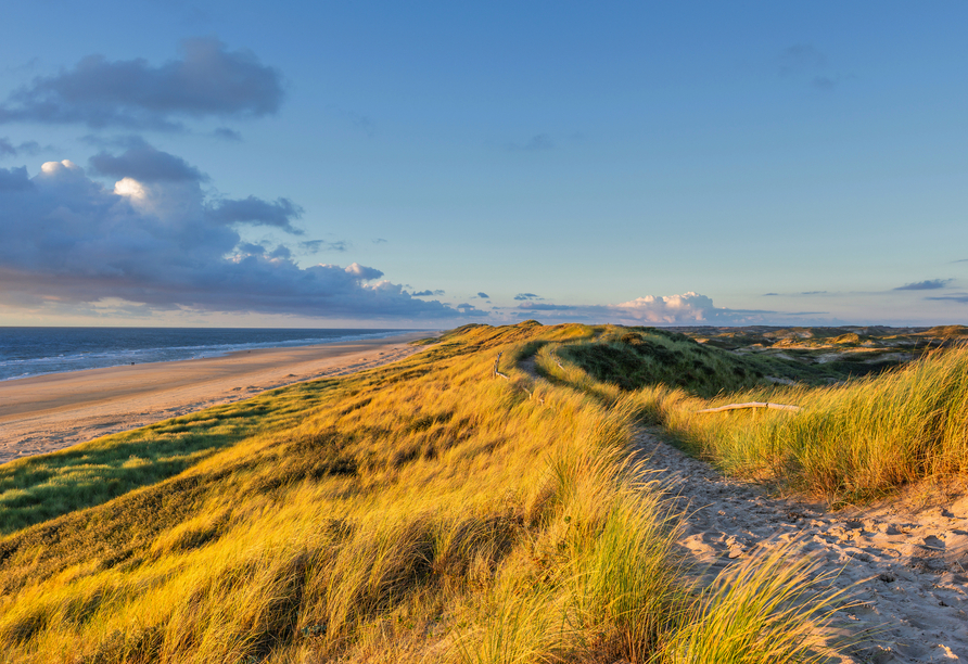 Willkommen zu Ihrem Urlaub an der niederländischen Nordsee!