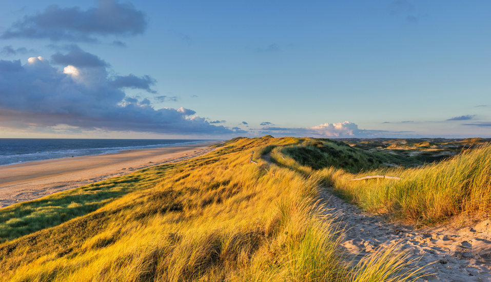 Willkommen zu Ihrem Urlaub an der niederländischen Nordsee!