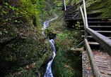 Entdecken Sie die beeindruckende Marienschlucht und erleben Sie die faszinierende Naturkulisse hautnah.