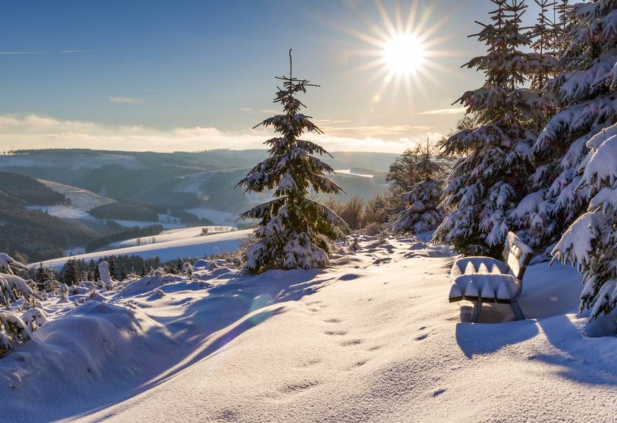 Lassen Sie sich von der schönen Winterlandschaft verzaubern.