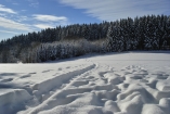 Der Bayerische Wald verwandelt sich in der kalten Jahreszeit in ein wahres Winterwunderland.