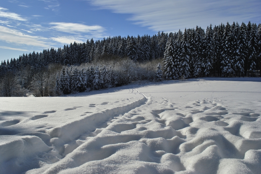 Der Bayerische Wald verwandelt sich in der kalten Jahreszeit in ein wahres Winterwunderland.