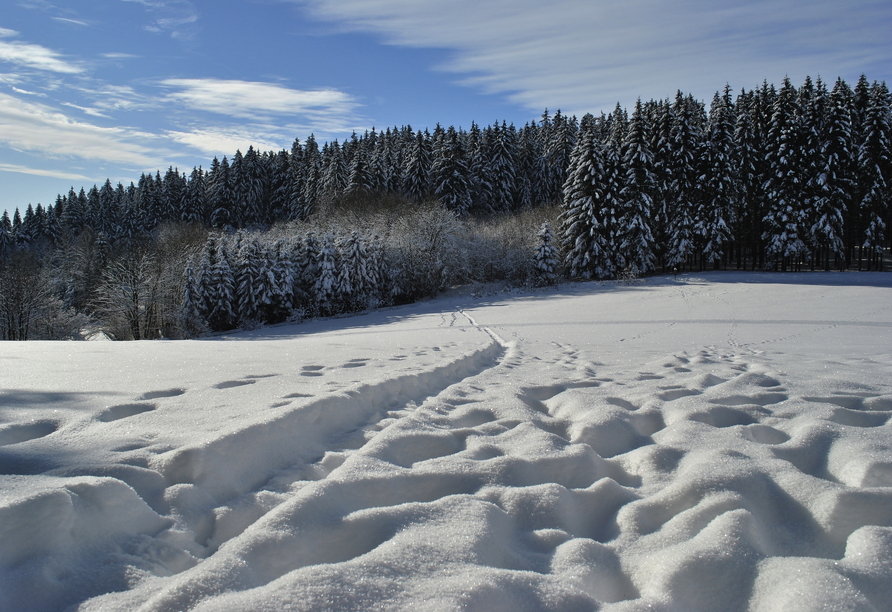 Der Bayerische Wald verwandelt sich in der kalten Jahreszeit in ein wahres Winterwunderland.