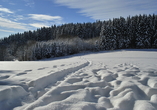 Der Bayerische Wald verwandelt sich in der kalten Jahreszeit in ein wahres Winterwunderland.