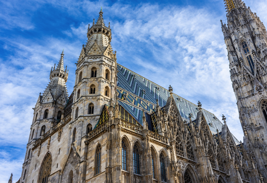 Blick auf den Stephansdom in Wien