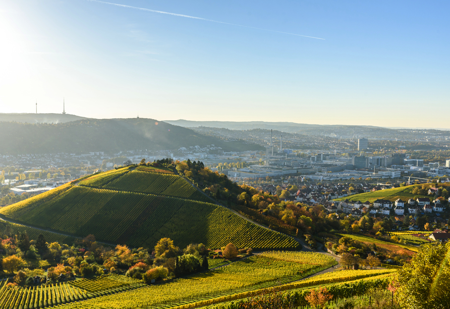 Stuttgart birgt ebenfalls Naturschönheiten, die Sie gesehen haben müssen.