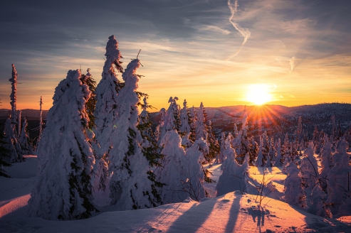 Tauchen Sie ein in die winterliche Magie des Bayerischen Waldes.