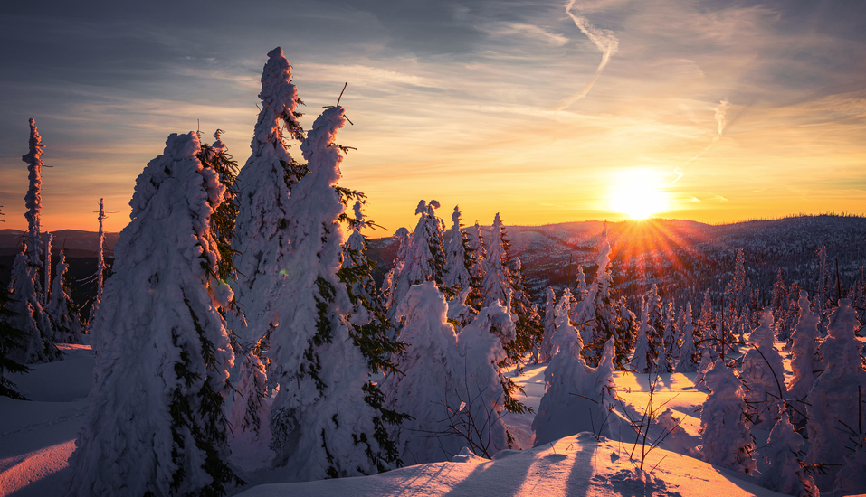 Tauchen Sie ein in die winterliche Magie des Bayerischen Waldes.