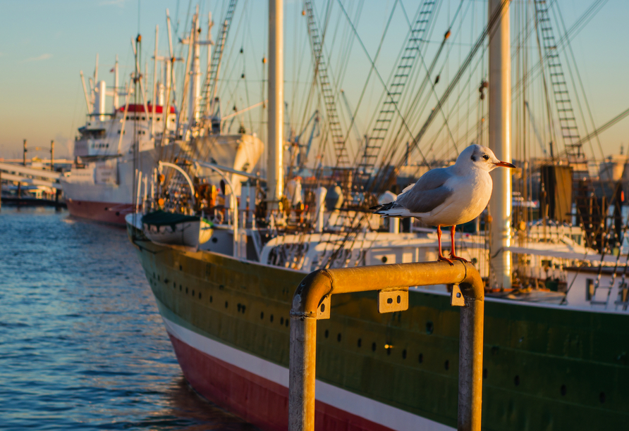 In Deutschlands größtem Seehafen gibt es jede Menge zu entdecken.
