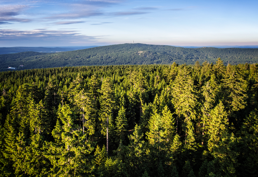 Blick zum Schneeberg im Fichtelgebirge