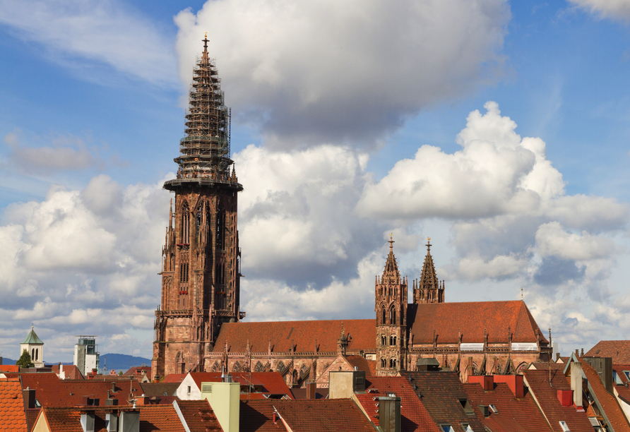 Entdecken Sie Freiburg – die charmante Stadt in der Nähe freut sich auf Ihren Besuch!