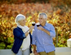 Schlendern Sie durch die Weinberge der Region.