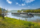 Freuen Sie sich auf Ihre Flusskreuzfahrt auf der Donau.