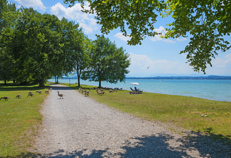 Im Erholungsgebiet Ambach am Starnberger See fühlt sich jeder wohl und kann entspannen.