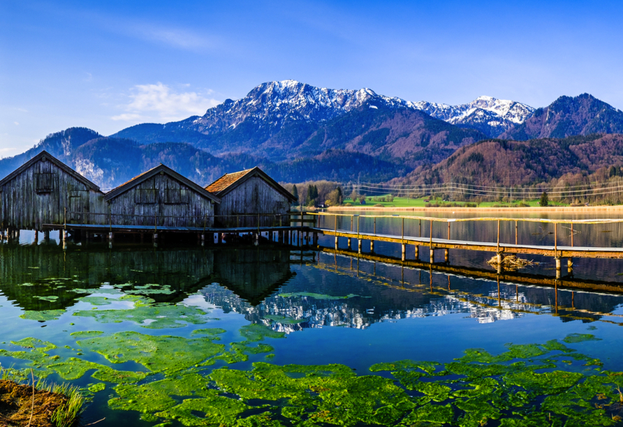 Nachdem Sie das Murnauer Moos passiert haben, erreichen Sie den Kochelsee mit seinem türkis- bis tiefblauen Wasser.